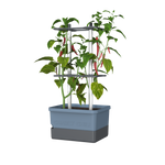 Lonček Charly Chili v modri barvi z oporo in rdečimi čilij