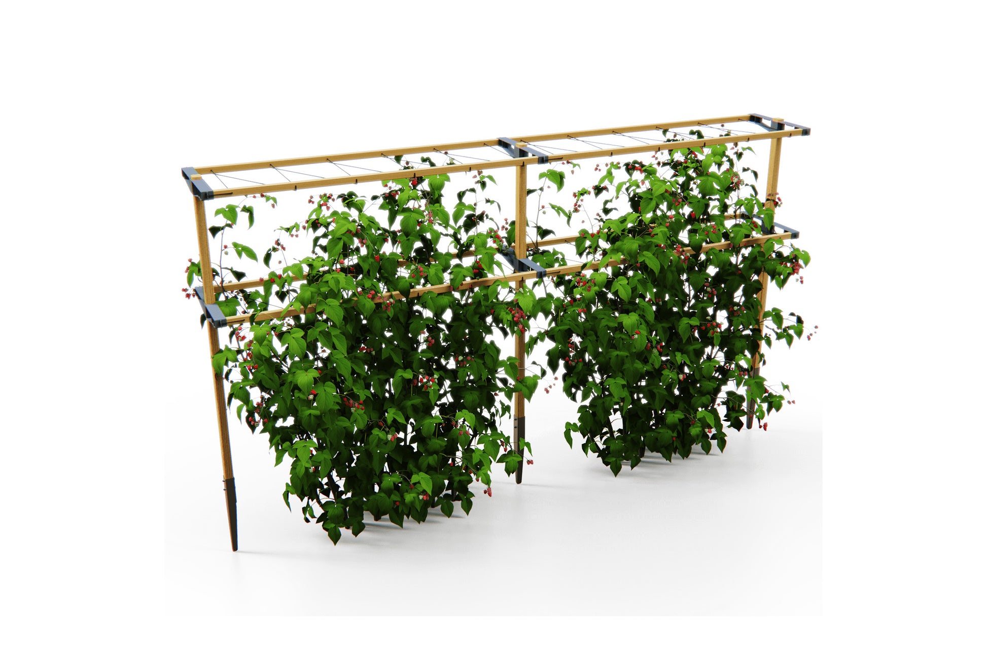 Razširjen sistem Berry Buddy za več rastlin.