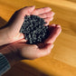 Biochar v dlaneh prikazuje strukturo poroznih granulatov za izboljšanje kakovosti zemlje in rast rastlin.