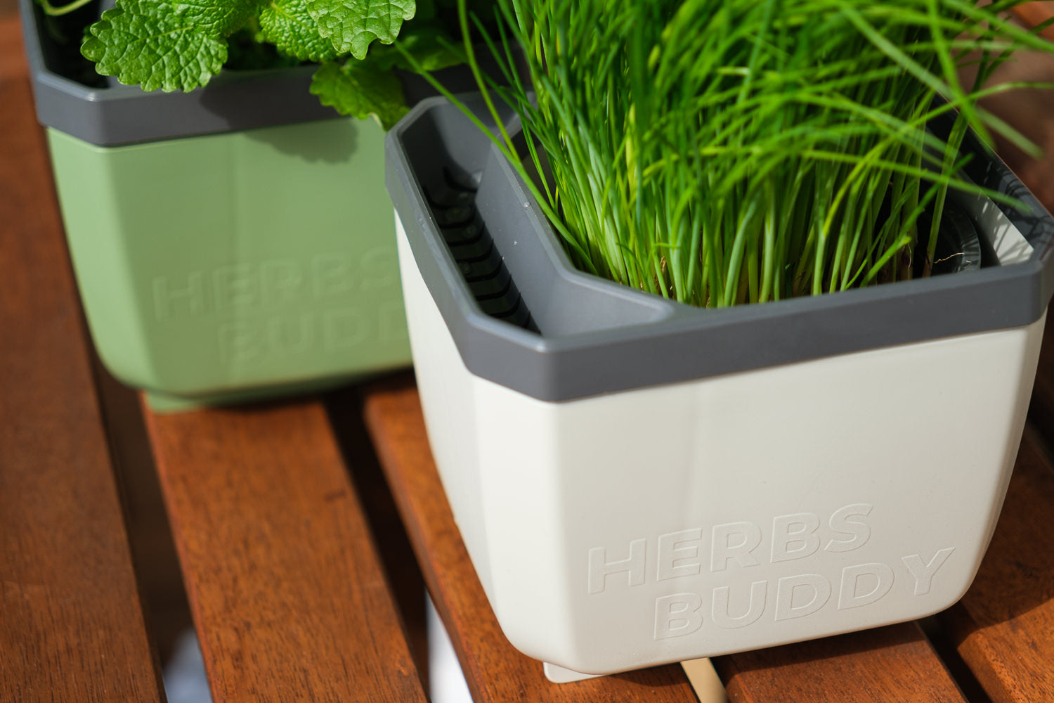Lonček za zelišča Herbs Buddy s peteršiljem na mizi v notranjem prostoru.