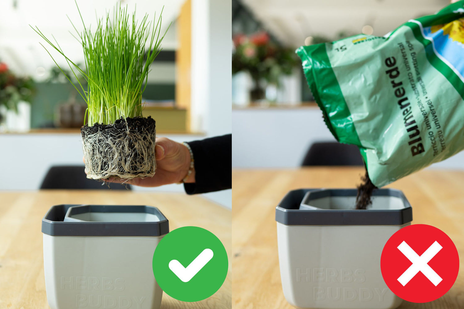 Prikaz pravilnega sajenja zelišč v lonček Herbs Buddy in nepravilnega dodajanja zemlje.