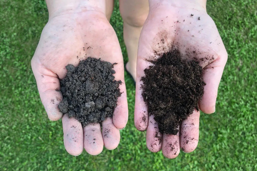 Primerjava Biocharja in vrtne zemlje za prikaz strukture, zračnosti in sposobnosti zadrževanja hranil.