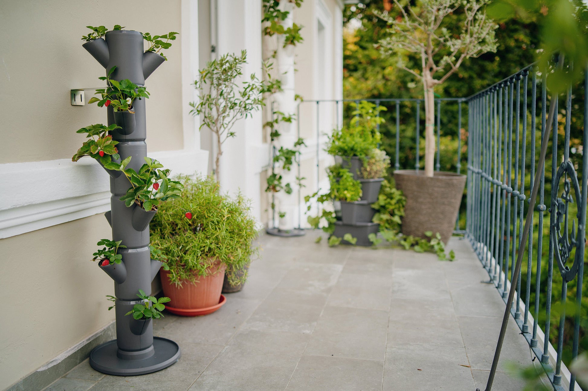 Vertikalni sadilni stolp SISSI Strawberry za gojenje jagod na balkonu.
