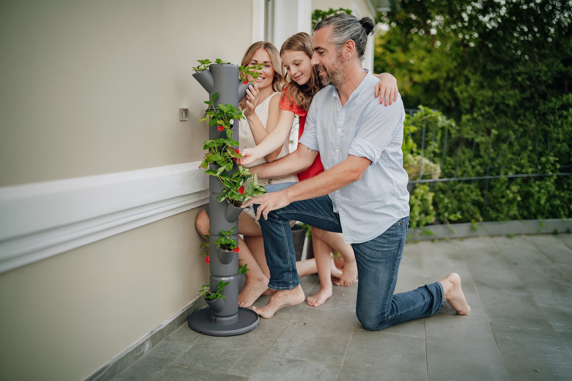 Družina nabira jagode iz vertikalnega vrta SISSI Strawberry na balkonu.