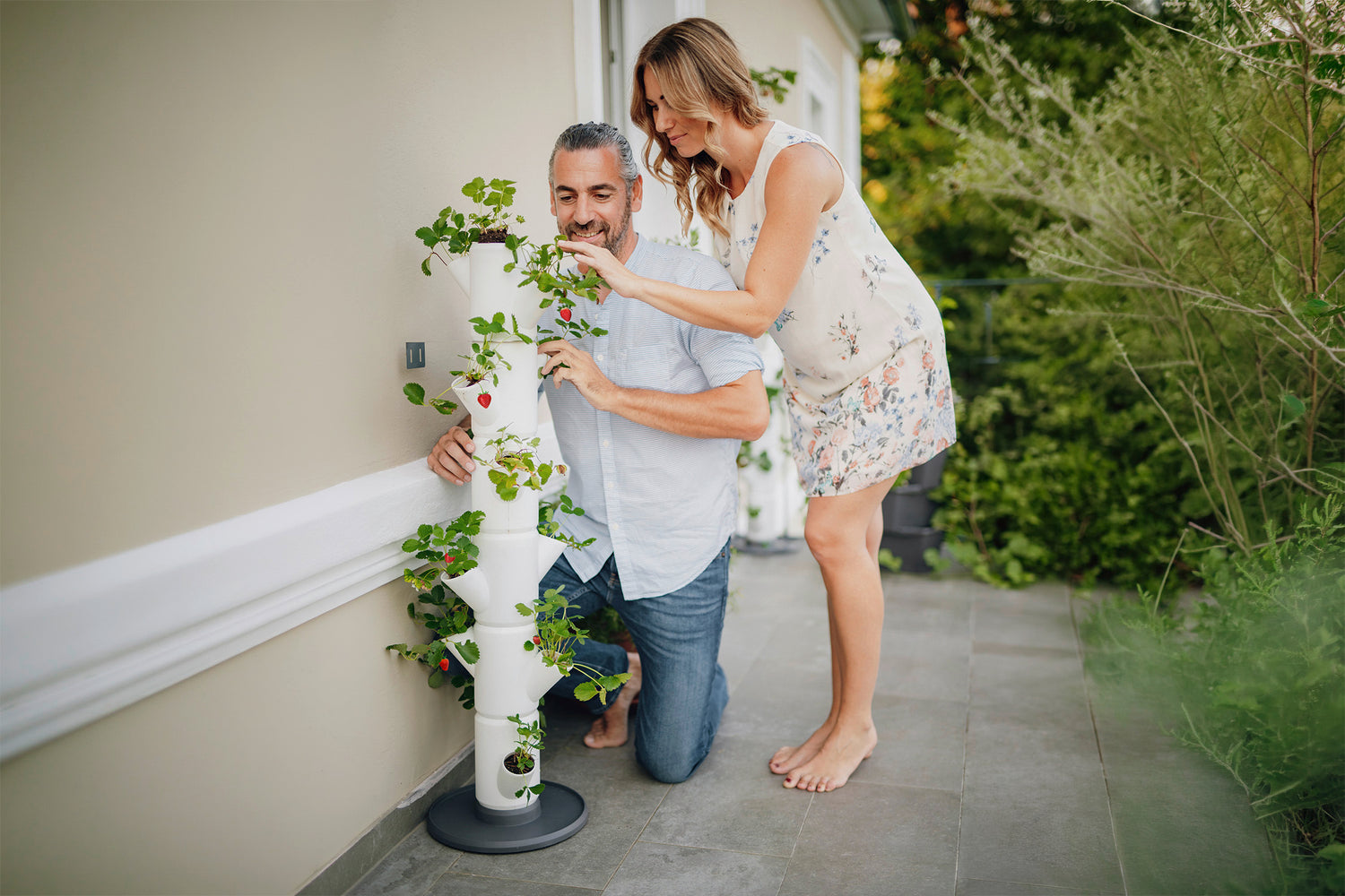 Par sadi jagode v vertikalni sadilni stolp SISSI Strawberry na balkonu.