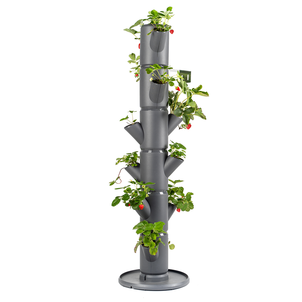 Vertikalni sadilni stolp SISSI Strawberry v temno sivi barvi z jagodami.