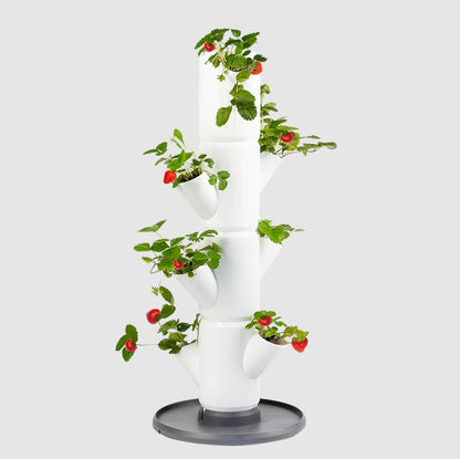 SISSI STRAWBERRY Vertikalni urbani vrt za ljubitelje svežih jagod