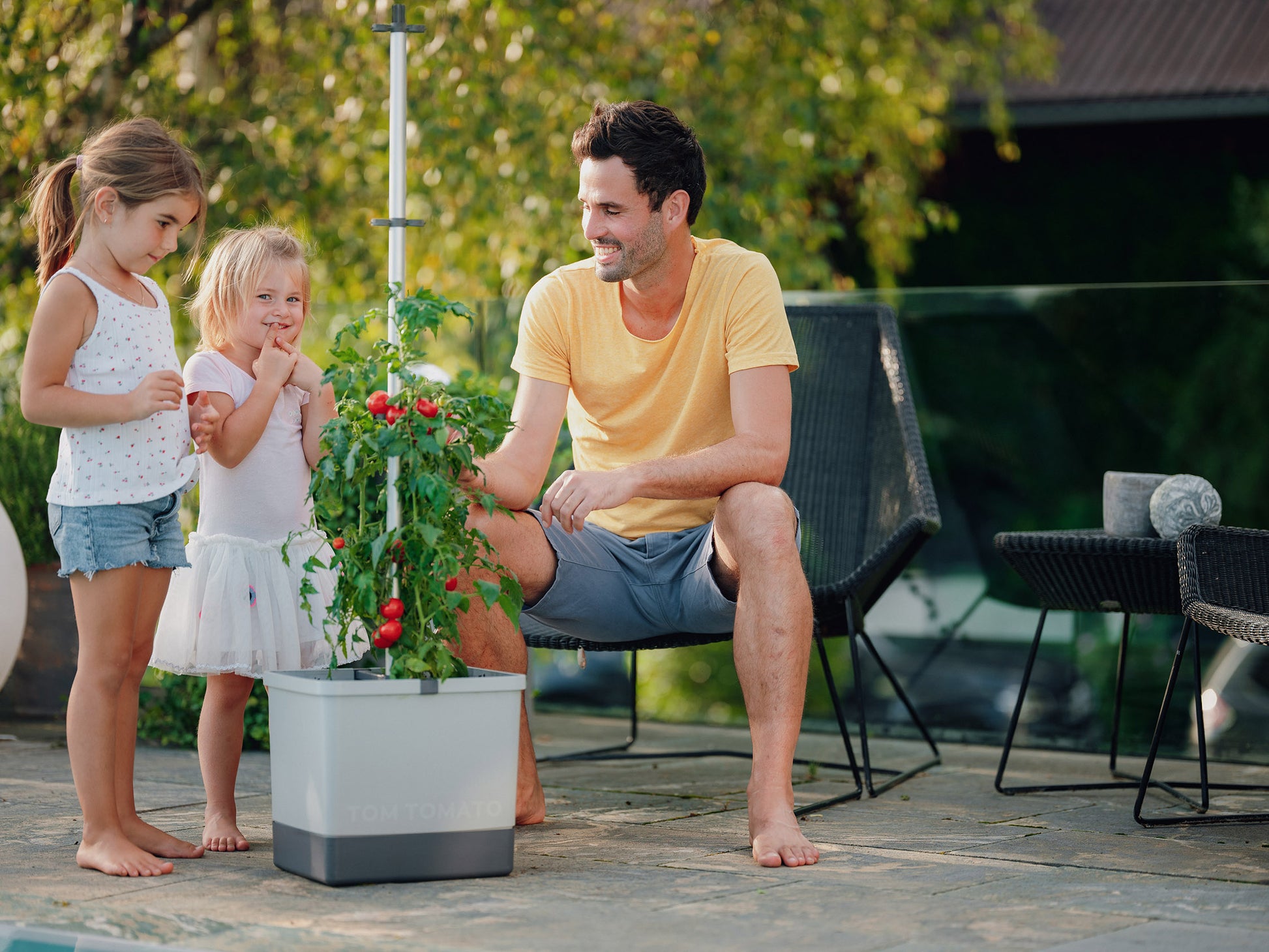 Družina goji paradižnik v sadilniku TOM TOMATO.