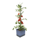 Sadilnik za paradižnik TOM TOMATO Planter Set v modri barvi.