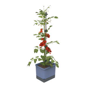 Sadilnik za paradižnik TOM TOMATO Planter Set v modri barvi.