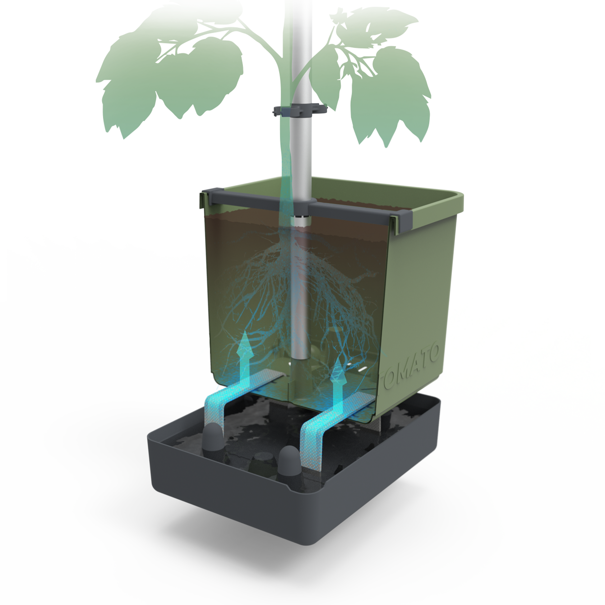 Prikaz samozalivalnega sistema v sadilniku za paradižnik TOM TOMATO.