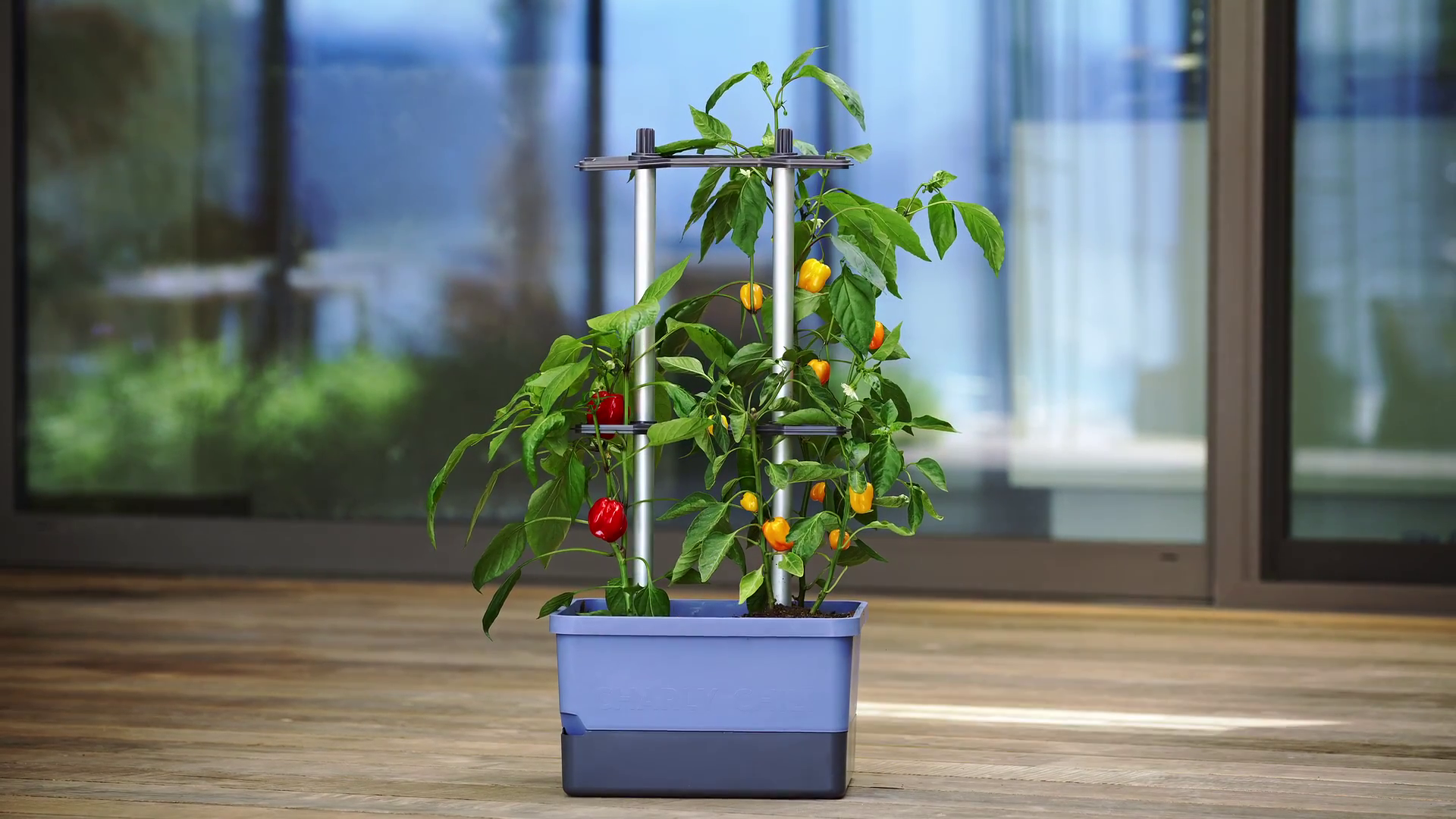 Naloži videoposnetek: Sadilnik CHARLY CHILI za gojenje čilijev z vgrajeno oporo in rezervoarjem za vodo.